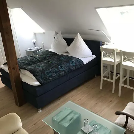 Hauschildt 4*